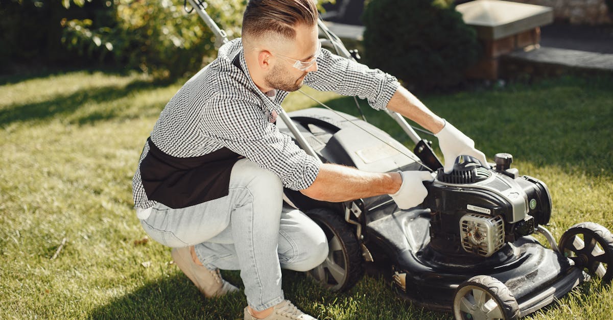 Scottsdale's Lawn Care Services